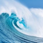 0384e59d34_111825_vague-epicstockmedia-fotolia