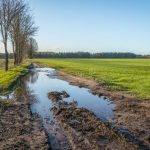 chemin-de-terre-boueux-avec-des-magmas-de-l-eau-65826621