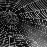 rever-de-toile-d-araignee-signification